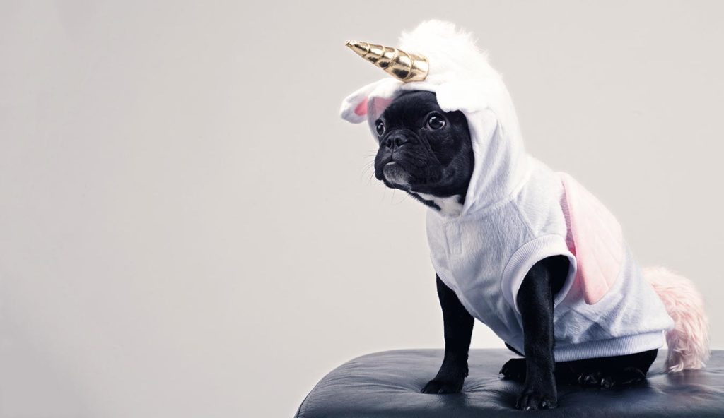 Picking the perfect writer – not the perfect unicorn