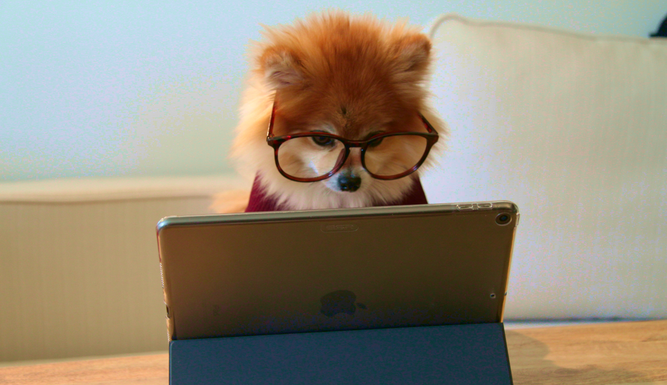 Don’t write the worst troubleshooting guide of all time (like I just did)